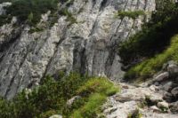 2014-08-02_06FritzPflaum-Steig (212).JPG